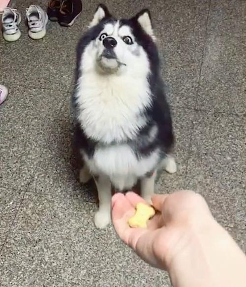 貴陽(yáng)生物技術(shù)服務(wù)公司